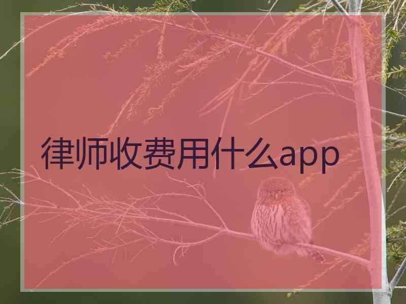 律师收费用什么app