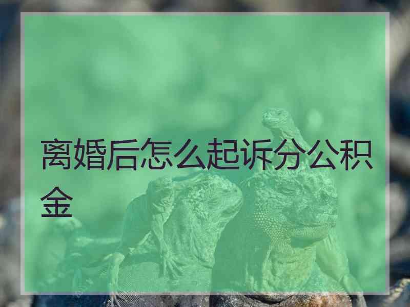 离婚后怎么起诉分公积金