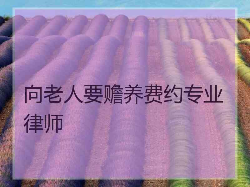 向老人要赡养费约专业律师