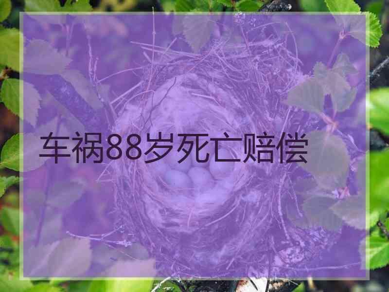 车祸88岁死亡赔偿
