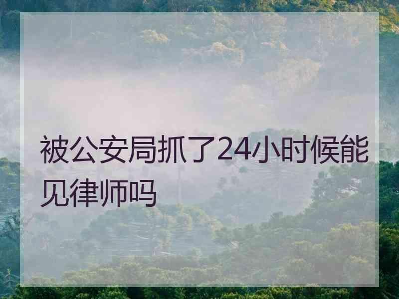 被公安局抓了24小时候能见律师吗