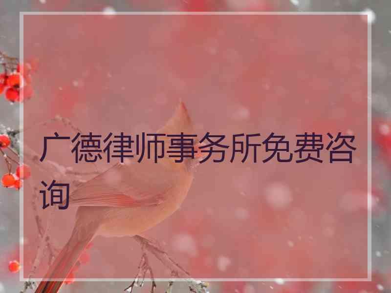 广德律师事务所免费咨询