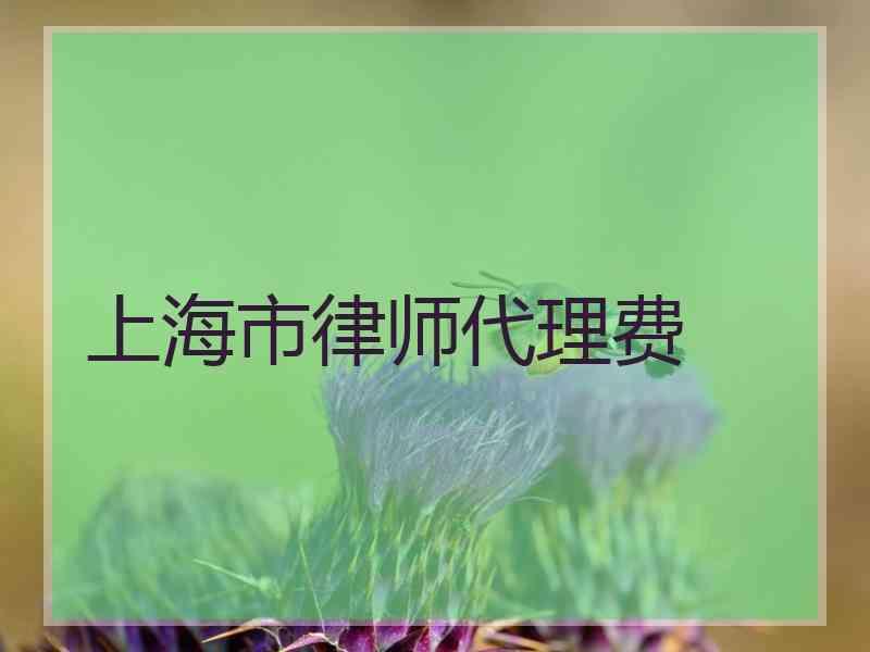 上海市律师代理费