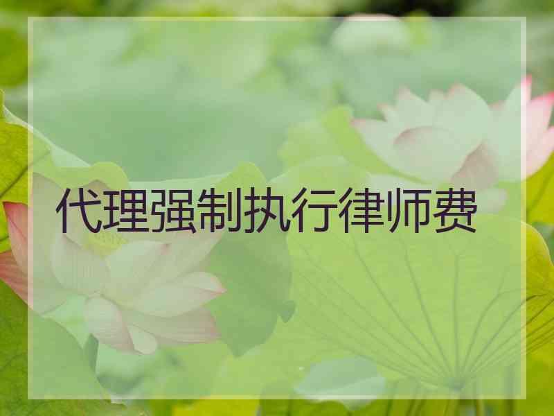 代理强制执行律师费