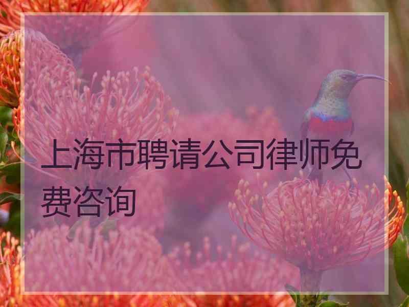 上海市聘请公司律师免费咨询