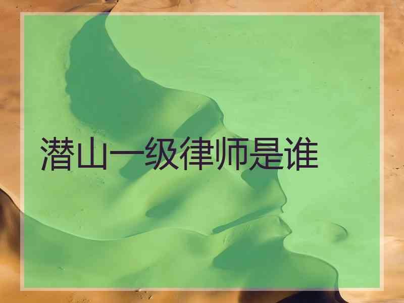 潜山一级律师是谁