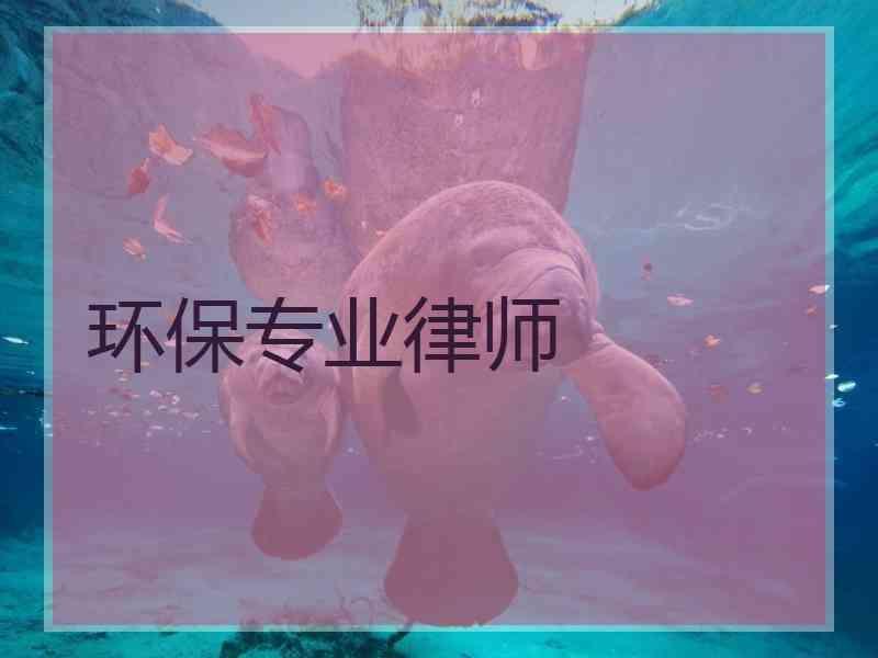 环保专业律师