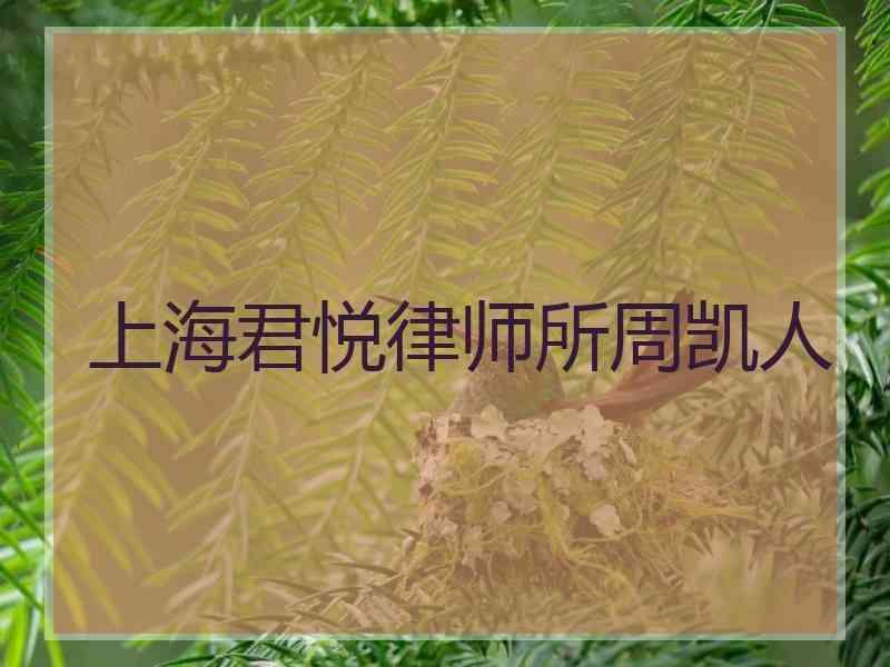 上海君悦律师所周凯人