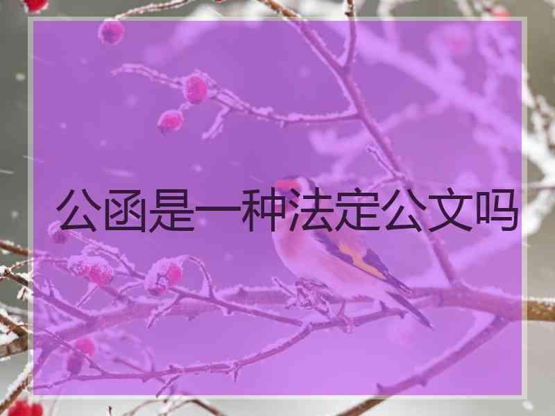 公函是一种法定公文吗