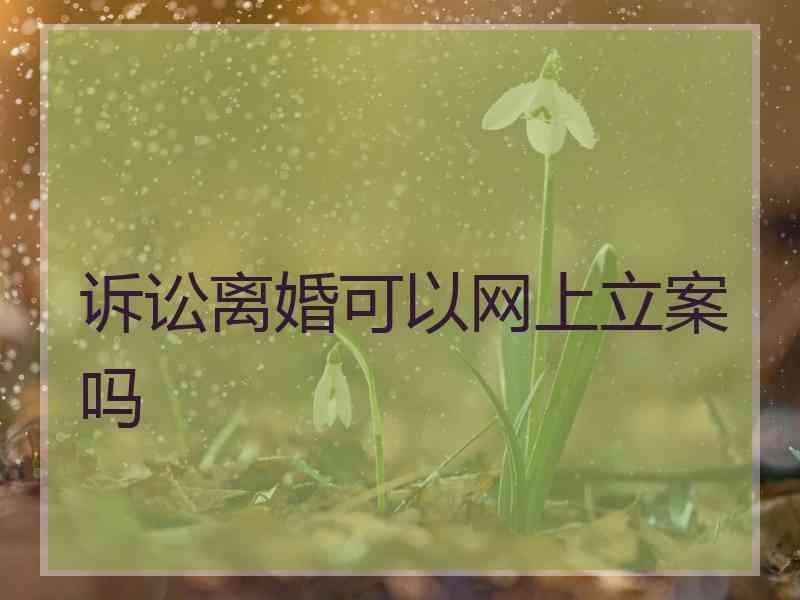 诉讼离婚可以网上立案吗