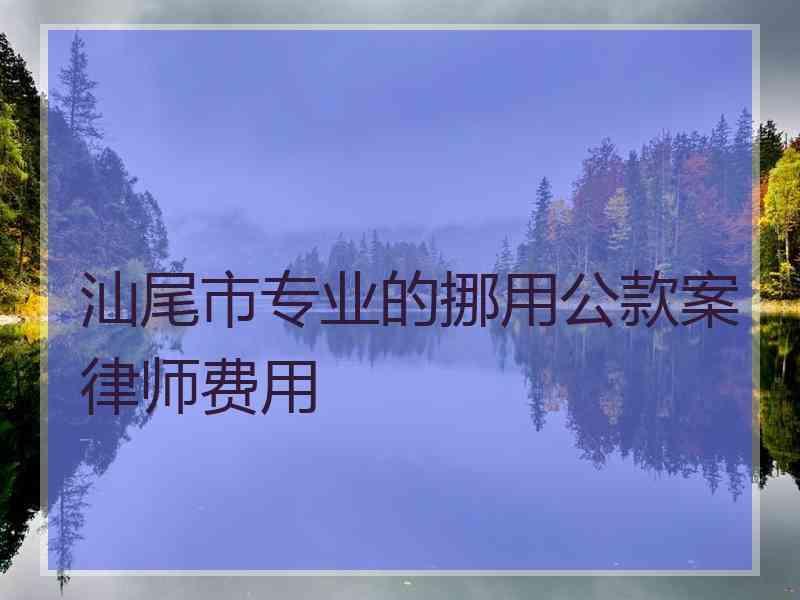 汕尾市专业的挪用公款案律师费用