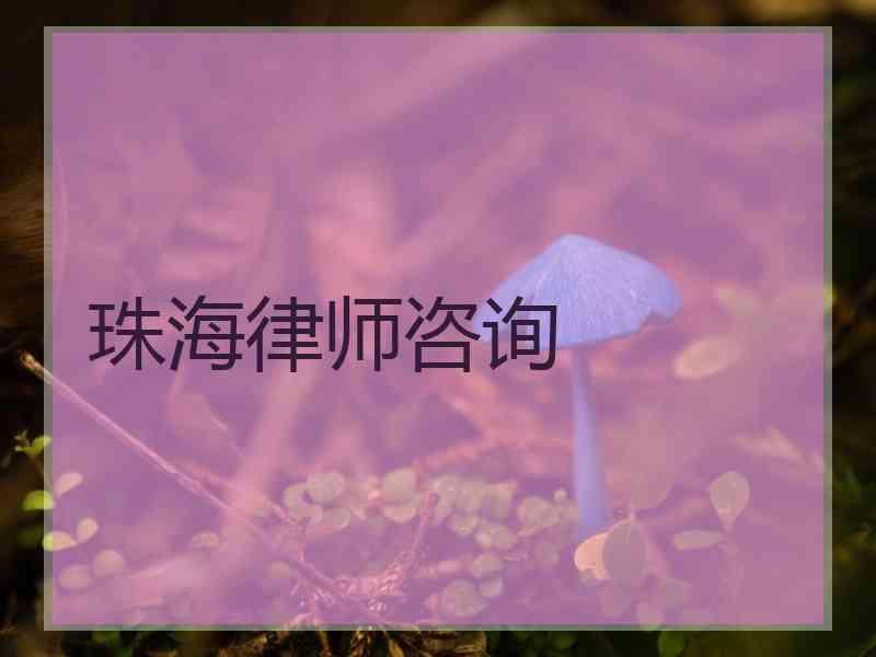 珠海律师咨询