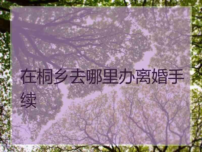 在桐乡去哪里办离婚手续