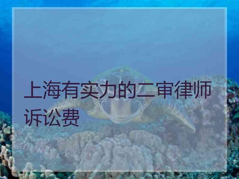 上海有实力的二审律师诉讼费