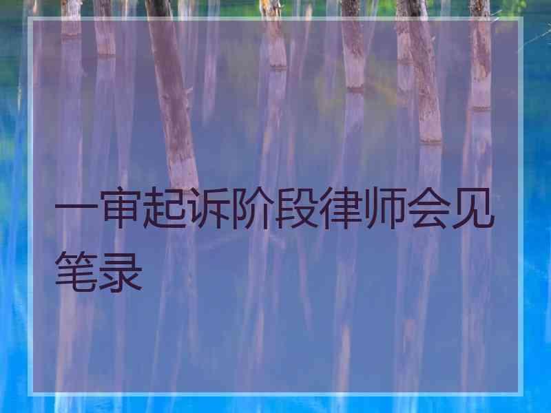 一审起诉阶段律师会见笔录