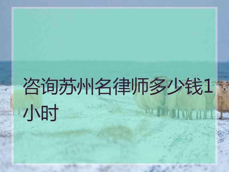 咨询苏州名律师多少钱1小时