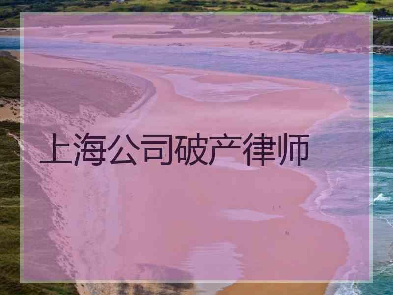 上海公司破产律师