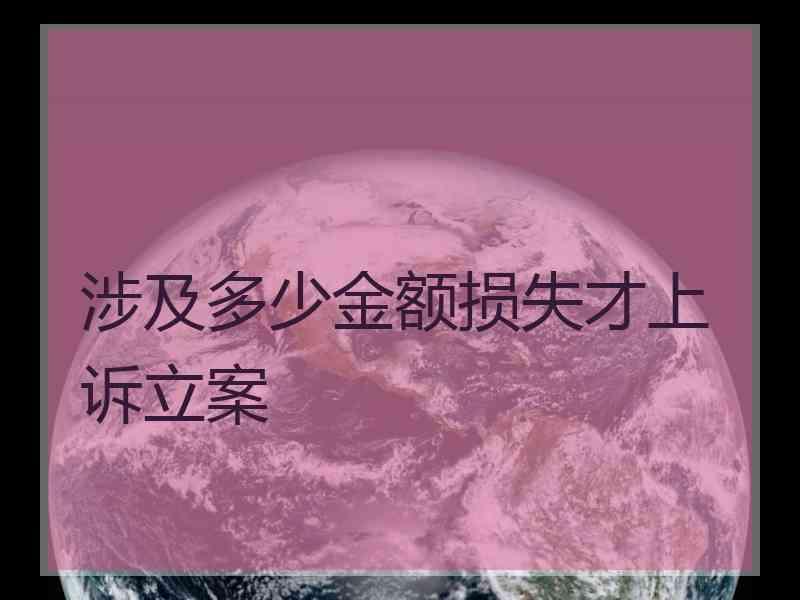 涉及多少金额损失才上诉立案