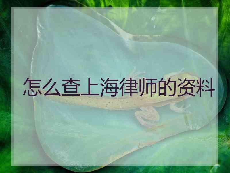 怎么查上海律师的资料