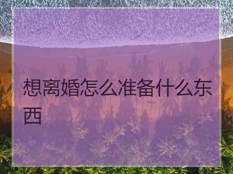 想离婚怎么准备什么东西