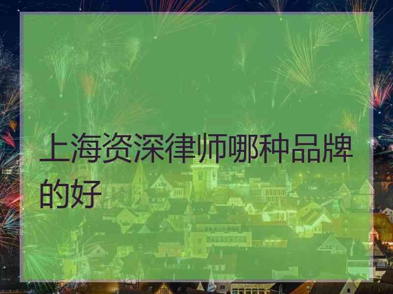 上海资深律师哪种品牌的好