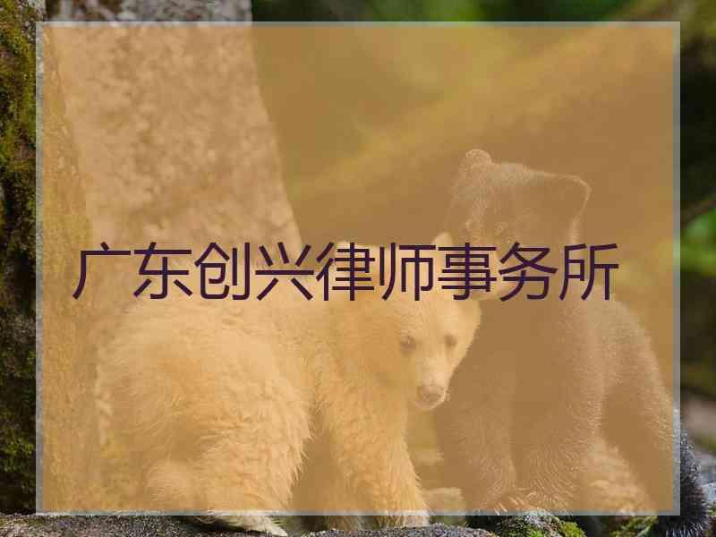 广东创兴律师事务所