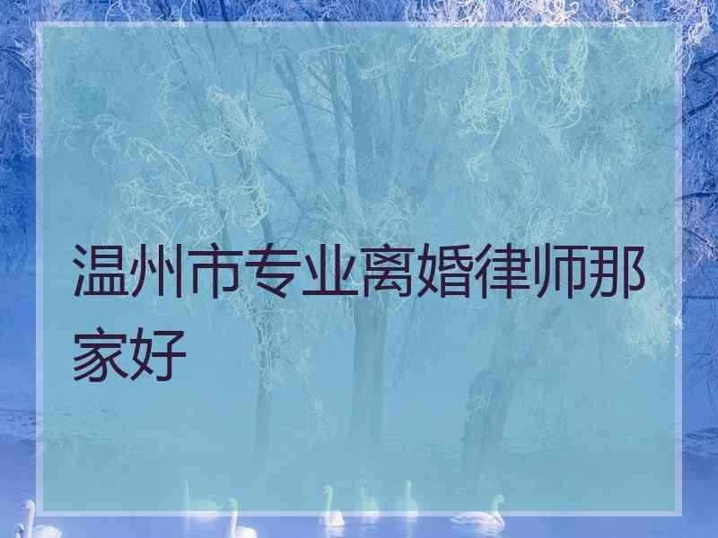 温州市专业离婚律师那家好