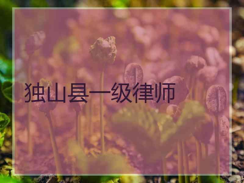 独山县一级律师