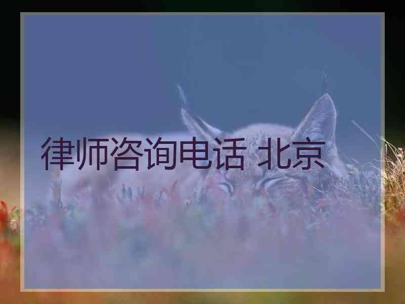 律师咨询电话 北京