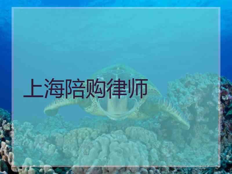 上海陪购律师