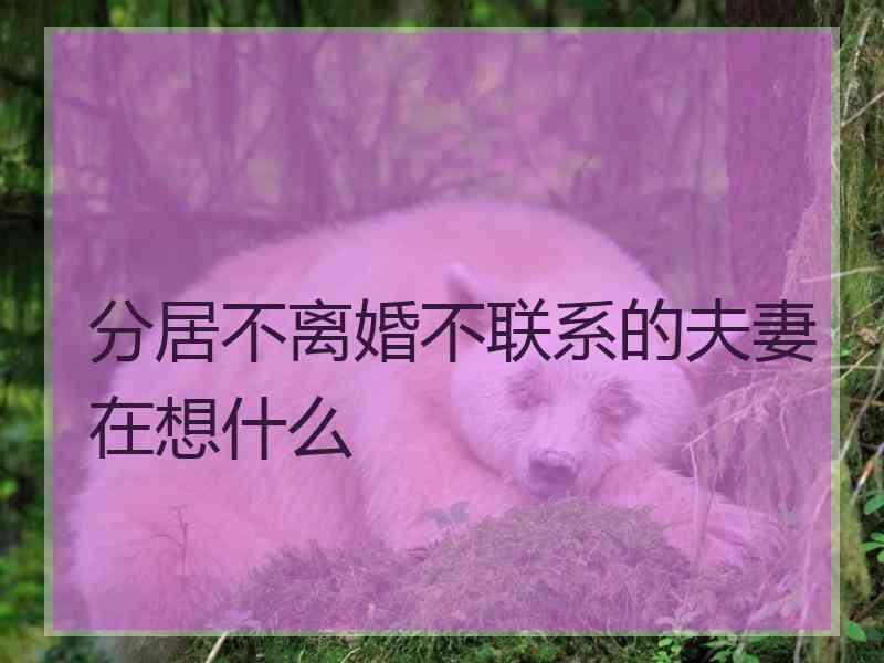 分居不离婚不联系的夫妻在想什么