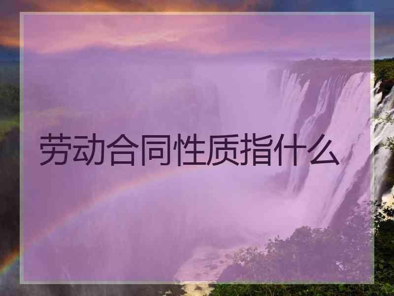 劳动合同性质指什么