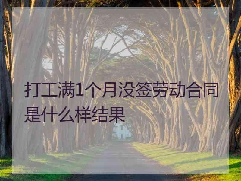 打工满1个月没签劳动合同是什么样结果