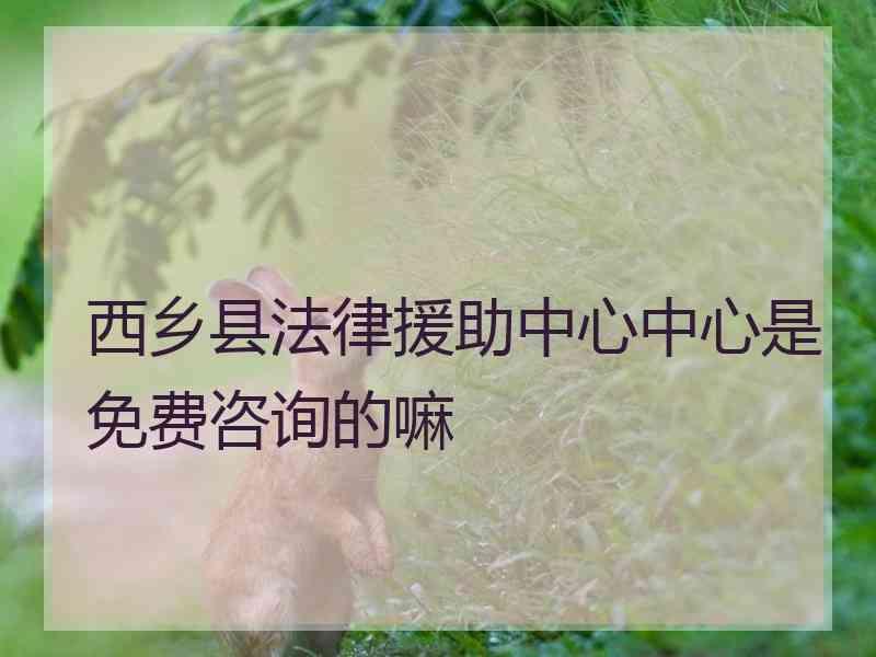 西乡县法律援助中心中心是免费咨询的嘛