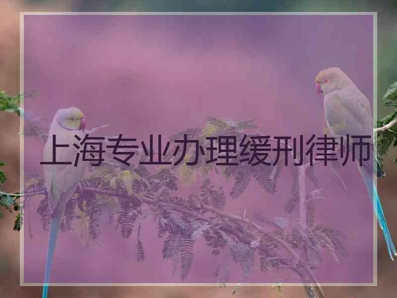 上海专业办理缓刑律师