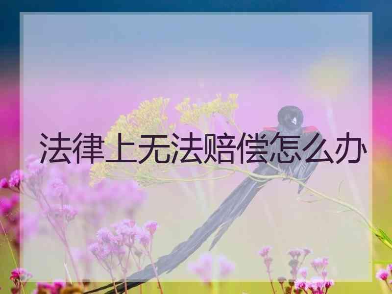 法律上无法赔偿怎么办