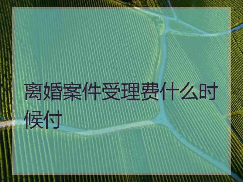 离婚案件受理费什么时候付