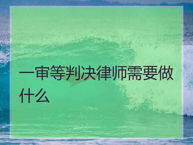 一审等判决律师需要做什么