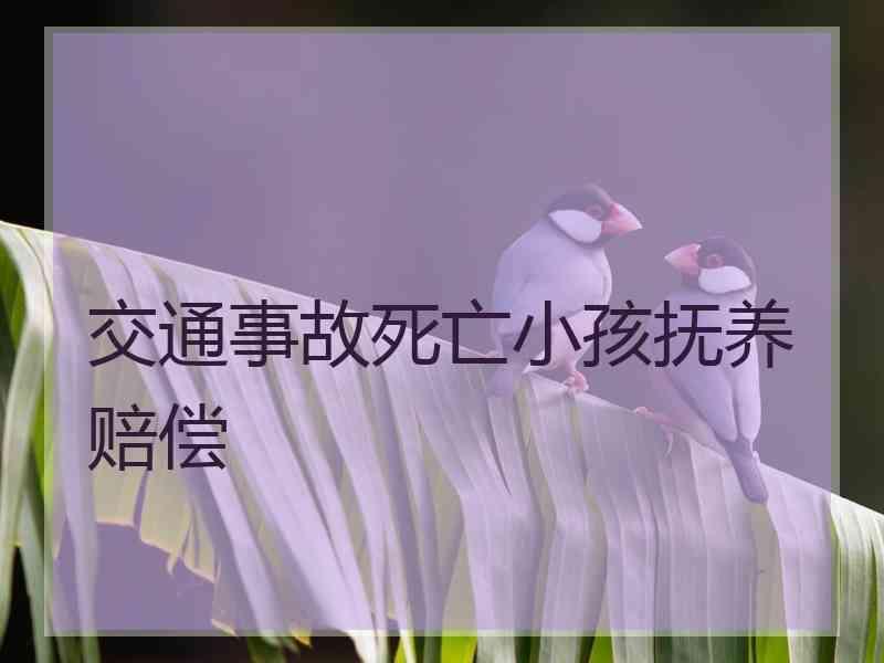 交通事故死亡小孩抚养赔偿