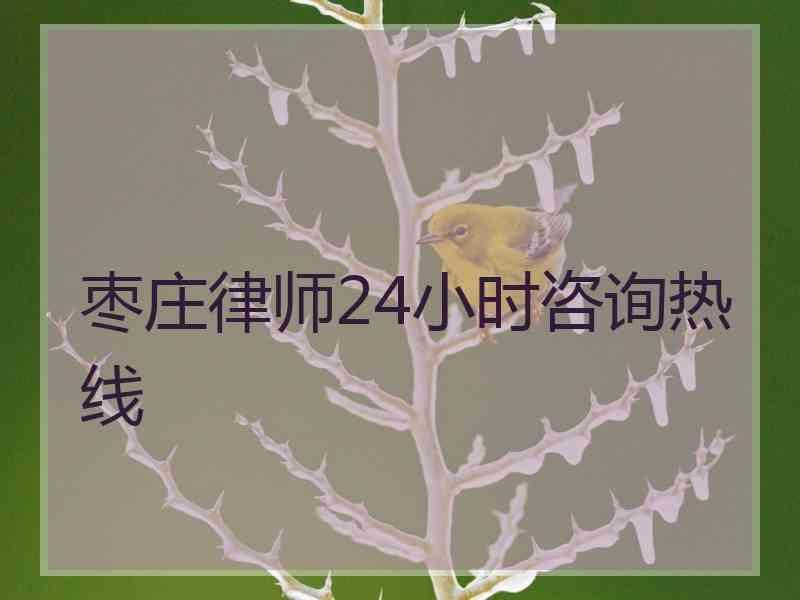 枣庄律师24小时咨询热线