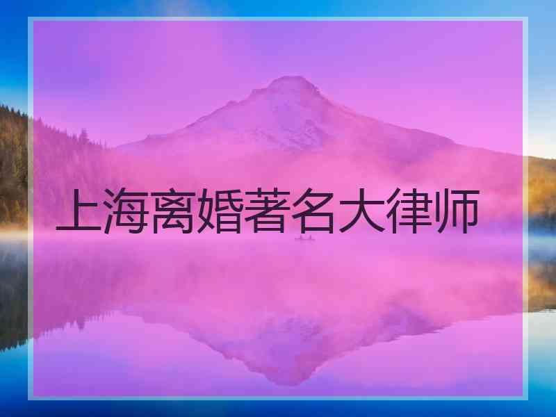 上海离婚著名大律师