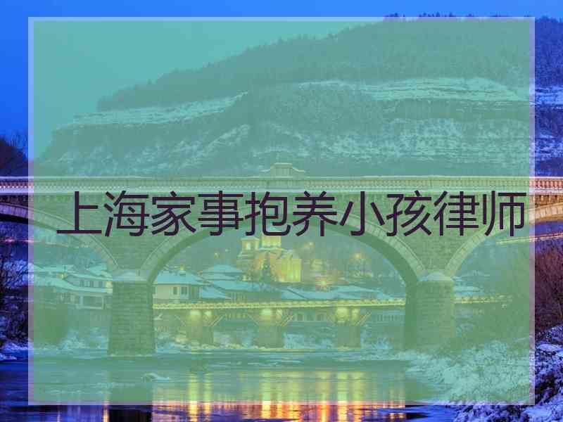 上海家事抱养小孩律师