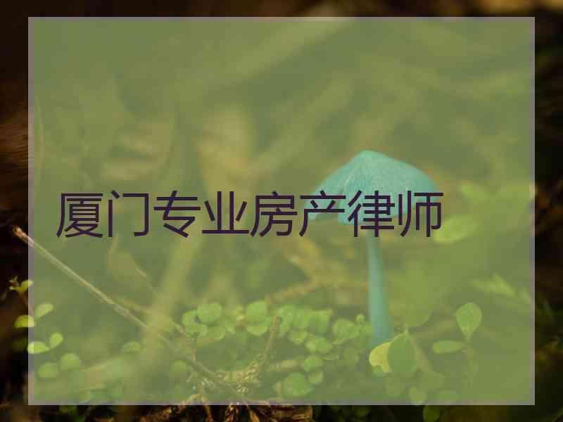 厦门专业房产律师