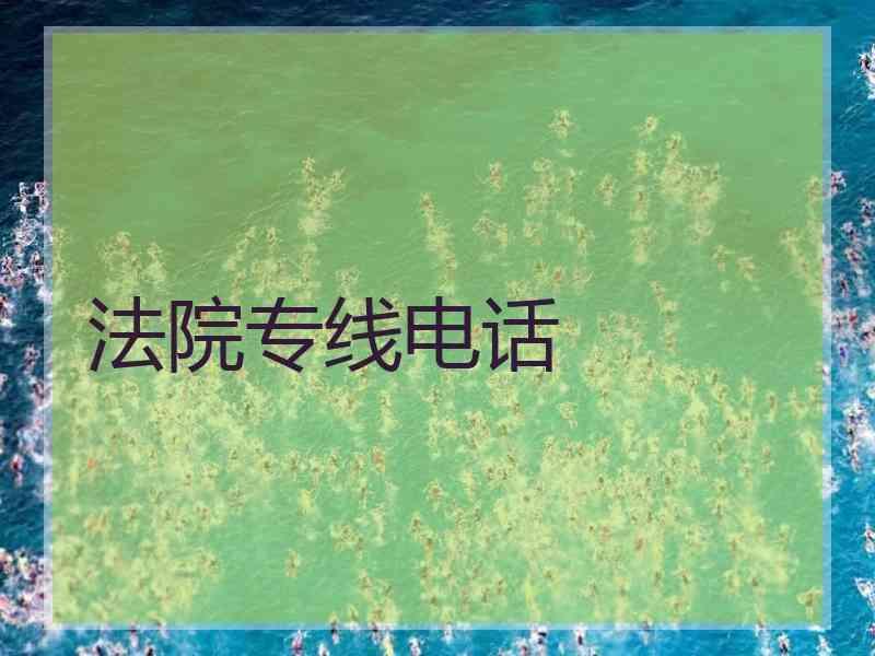 法院专线电话