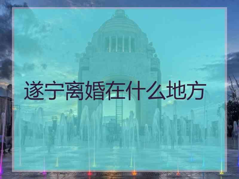 遂宁离婚在什么地方