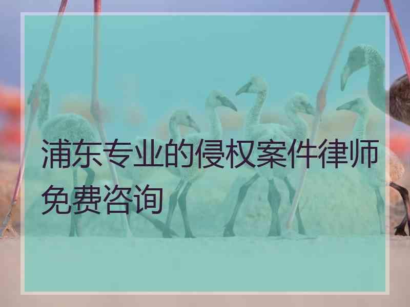 浦东专业的侵权案件律师免费咨询