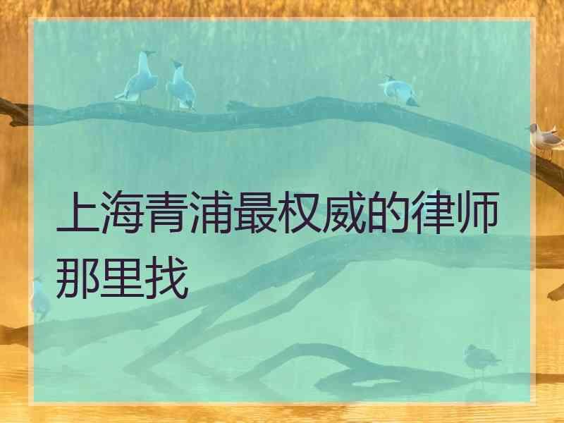 上海青浦最权威的律师那里找