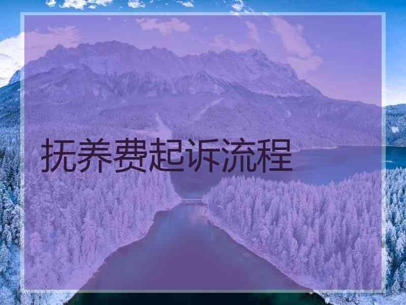 抚养费起诉流程