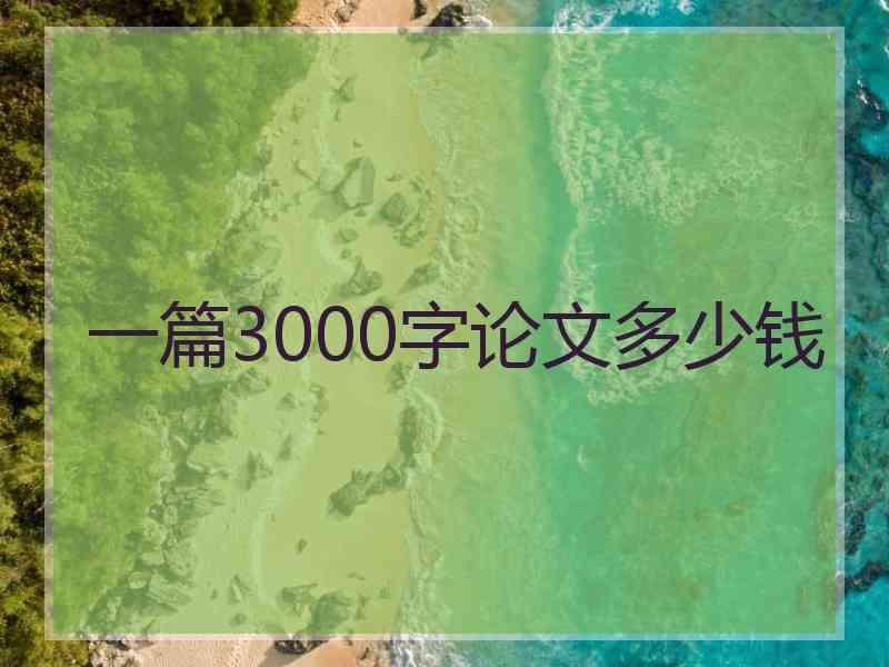 一篇3000字论文多少钱