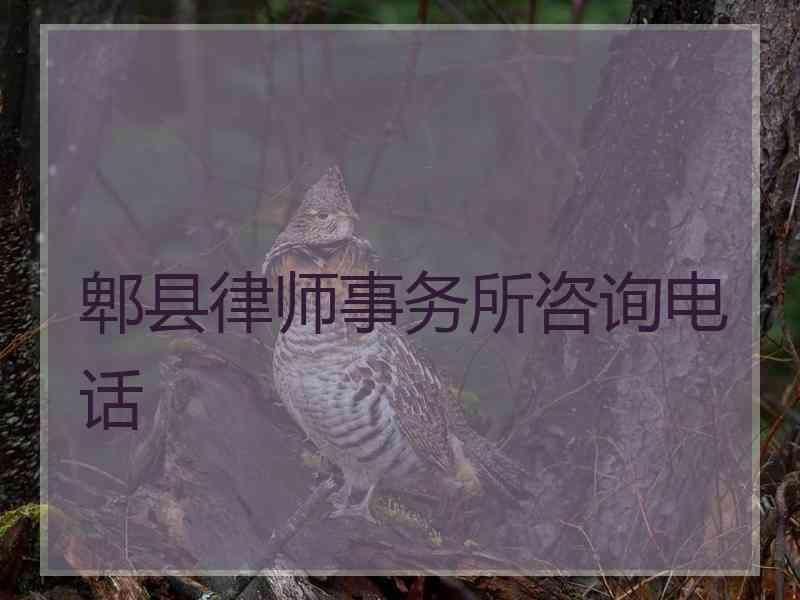 郫县律师事务所咨询电话